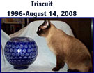 Triscuit mini pic